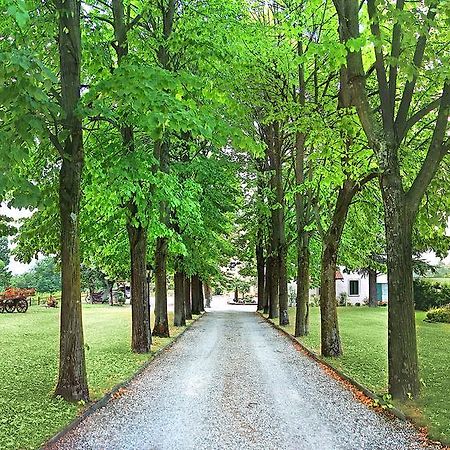 Agriturismo Al Colle Del Ciliegio Villa Rovolon Kültér fotó