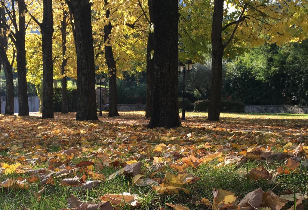 Agriturismo Al Colle Del Ciliegio Villa Rovolon Kültér fotó