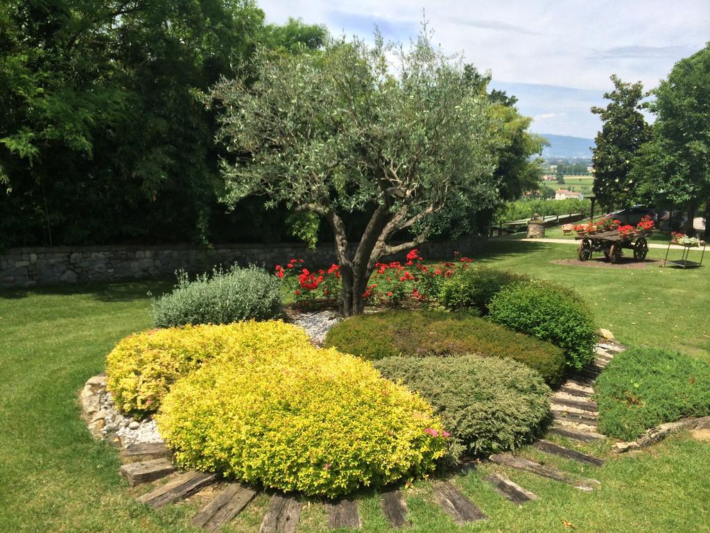 Agriturismo Al Colle Del Ciliegio Villa Rovolon Kültér fotó