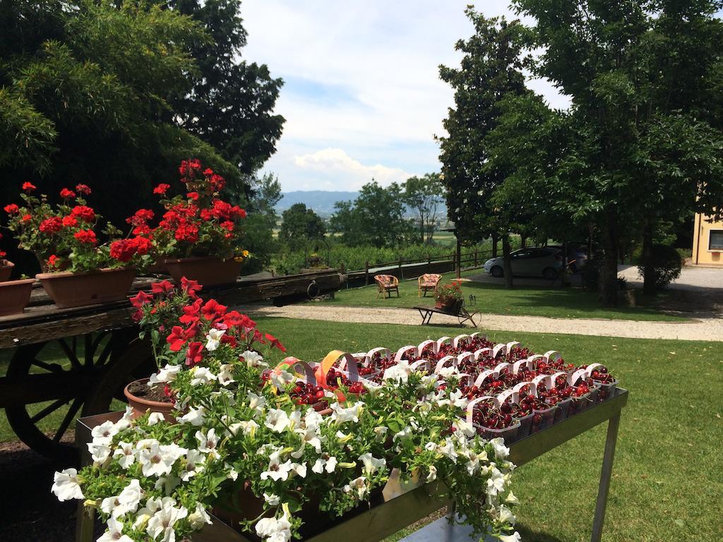 Agriturismo Al Colle Del Ciliegio Villa Rovolon Kültér fotó