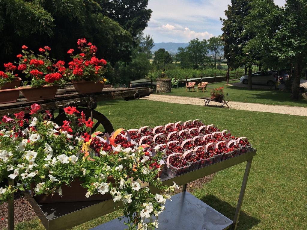 Agriturismo Al Colle Del Ciliegio Villa Rovolon Kültér fotó