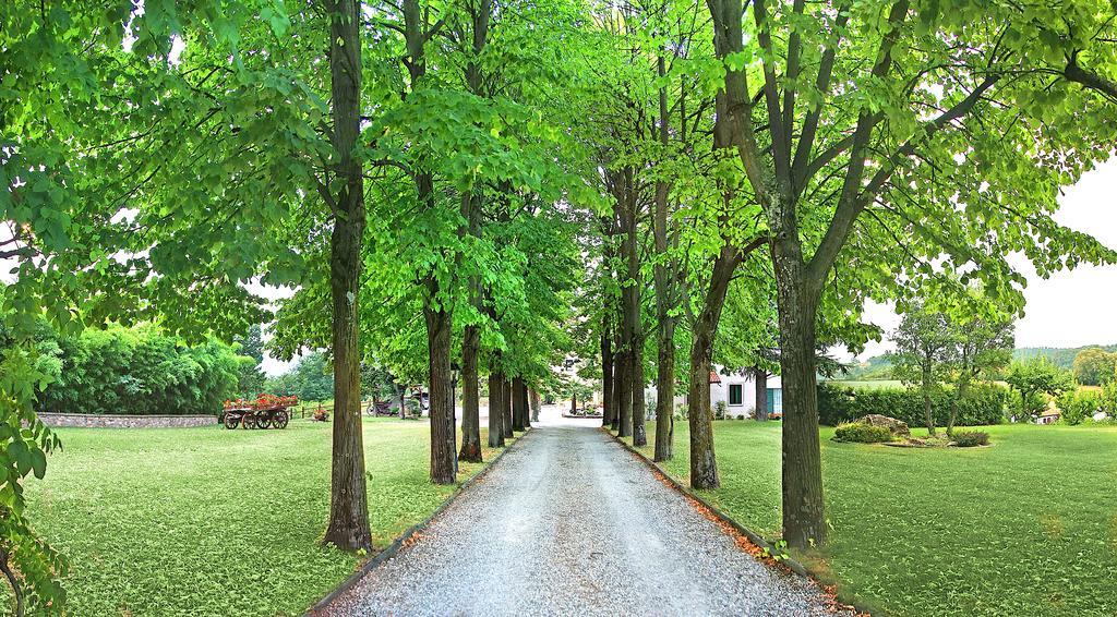 Agriturismo Al Colle Del Ciliegio Villa Rovolon Kültér fotó